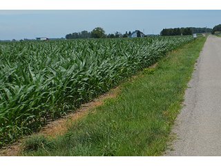 Property photo 99 - LAND AUCTION - 215+/- ACRES OFFERED IN 6 TRACTS IN VAN WERT COUNTY, OHIO